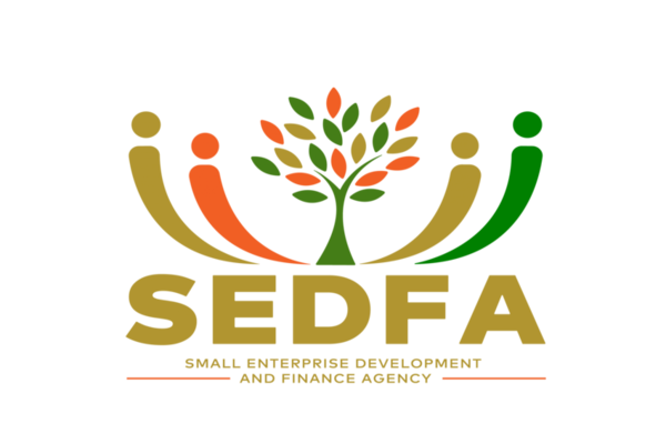 SEDFA-Logo_v2-scaled-2 (1)